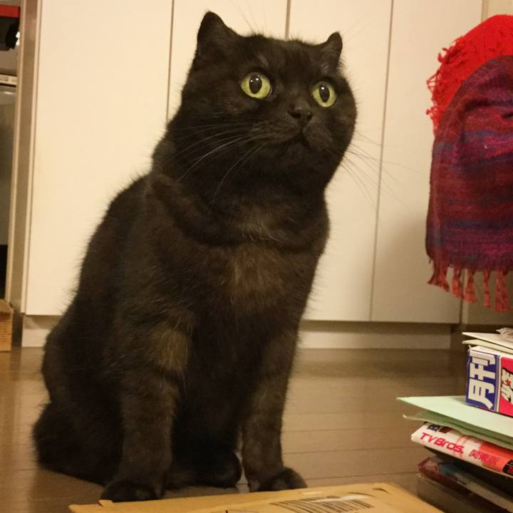 C58d2f5b e500 4b4e 9bd8 b7299b337a0f