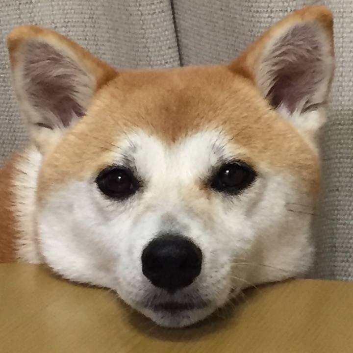 C58d425d f018 49ff b47b ce634091b9e8