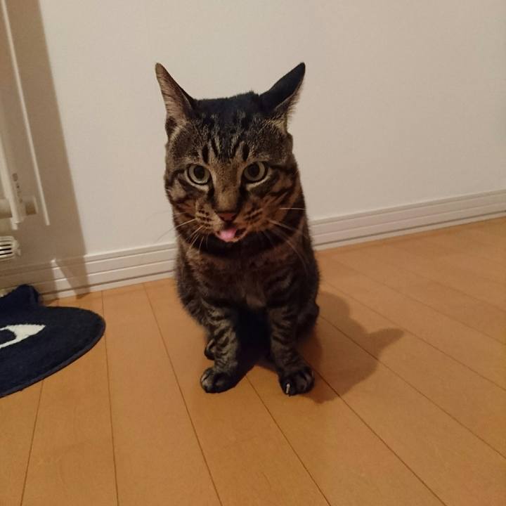 C58e46bb 99f2 44ca 814e 22a0ac61827b