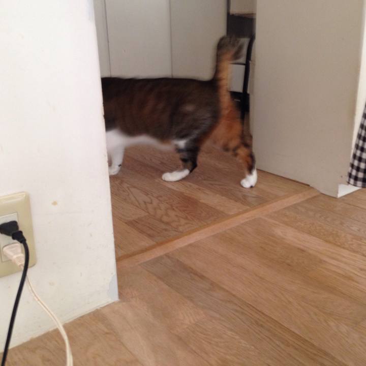 C58e6667 be45 4b29 962d c49199a327cd