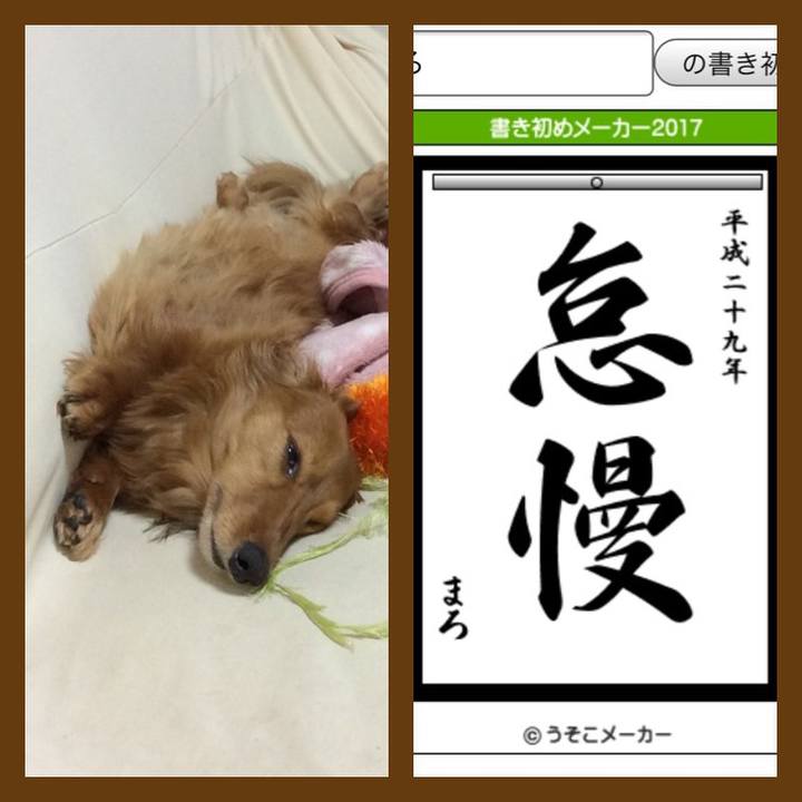 C58ed586 57e1 4323 9a5c 23ccbe74b06b