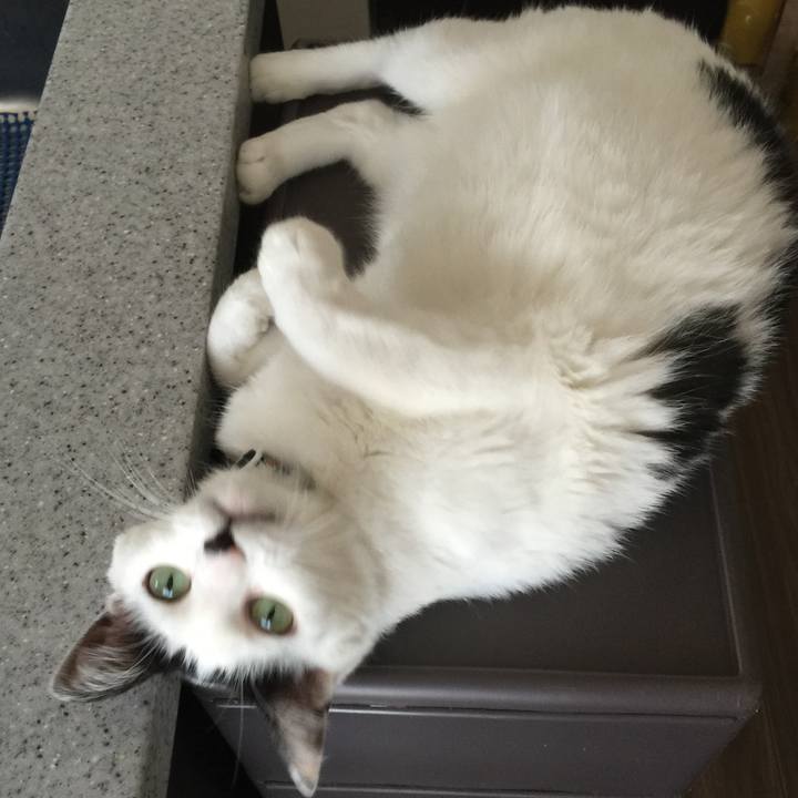 C58efcde 5dec 4765 ace6 72d8049f2d9a