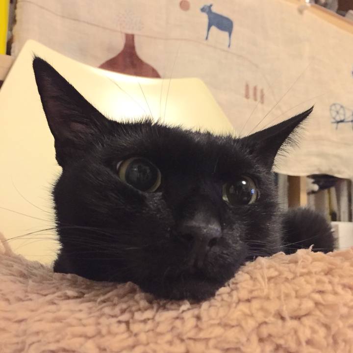 C58f0386 f630 4471 a228 ada2c2788654