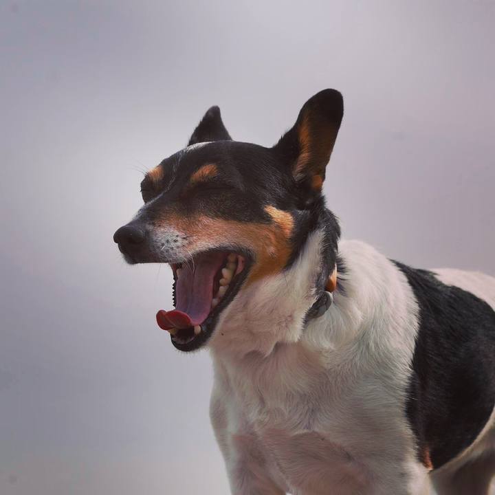 C58f0919 ce39 4c41 a2a7 afa0b9360e31