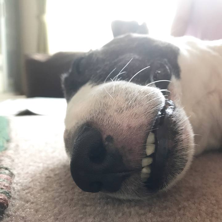 C58f4189 d7cc 4aa8 9fc9 84123d40aa39