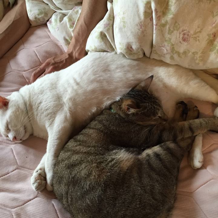 C58f80a0 816e 4a34 a997 60ce6809ea07