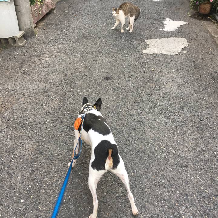 C58fe6b4 7997 4764 bfc1 be8b5eba2eb5