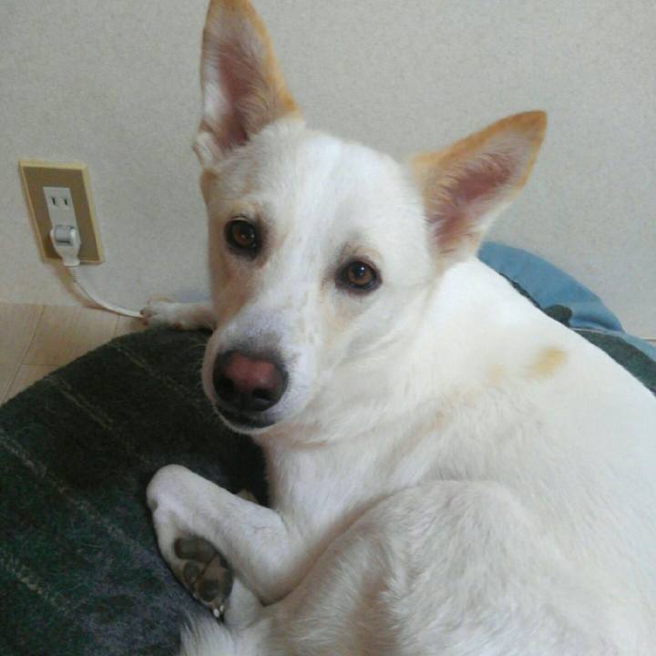 C59021f5 6e02 4f62 aeb6 129ea2389707