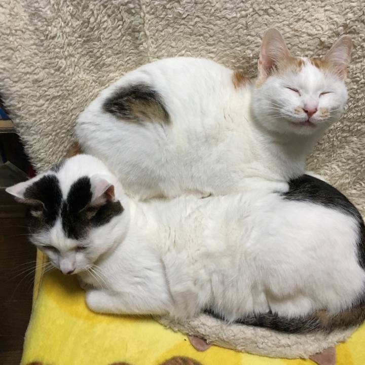 C5907fe1 9777 43b2 9b8d 4b5dec101c07