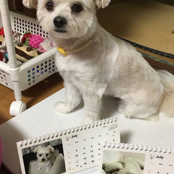 C590fbb3 acc5 418a adca 6eb4965dd89b