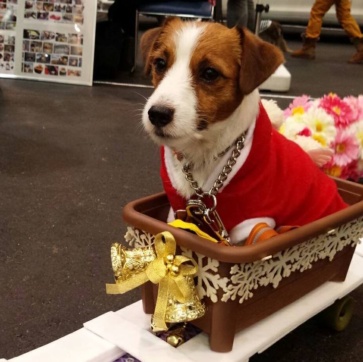 C59167cc 732a 4a73 8764 a23e4988ee44