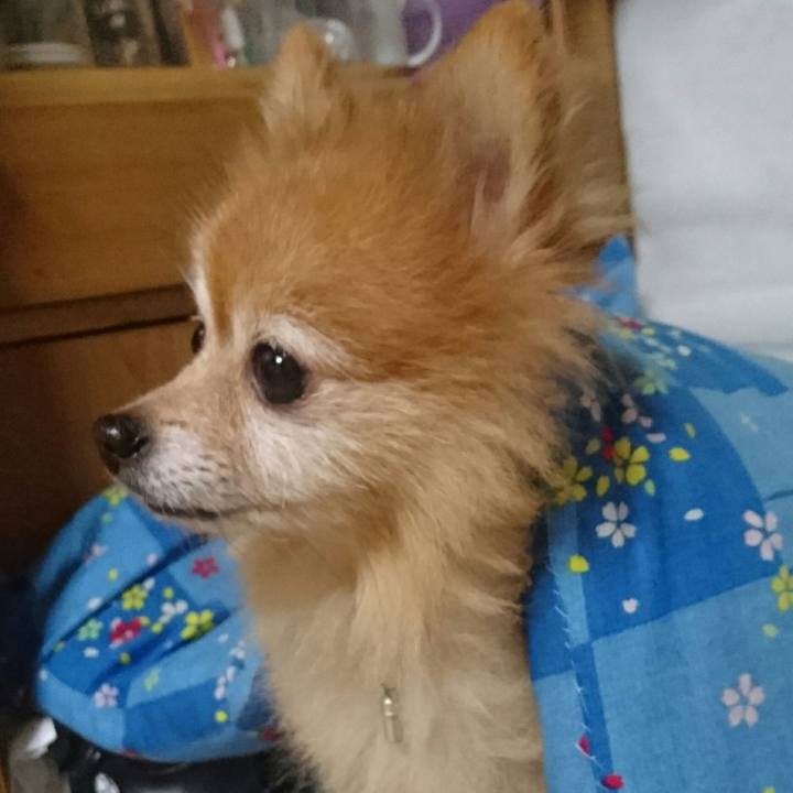 C59184a6 dda2 4a37 90e1 58b215116162