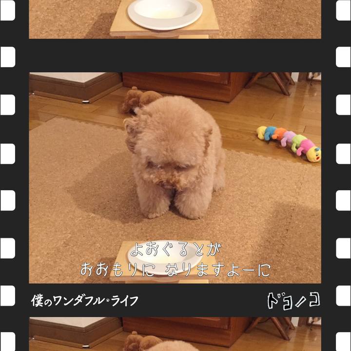 C5918fa0 51da 4107 99c7 dad060ee4c3d