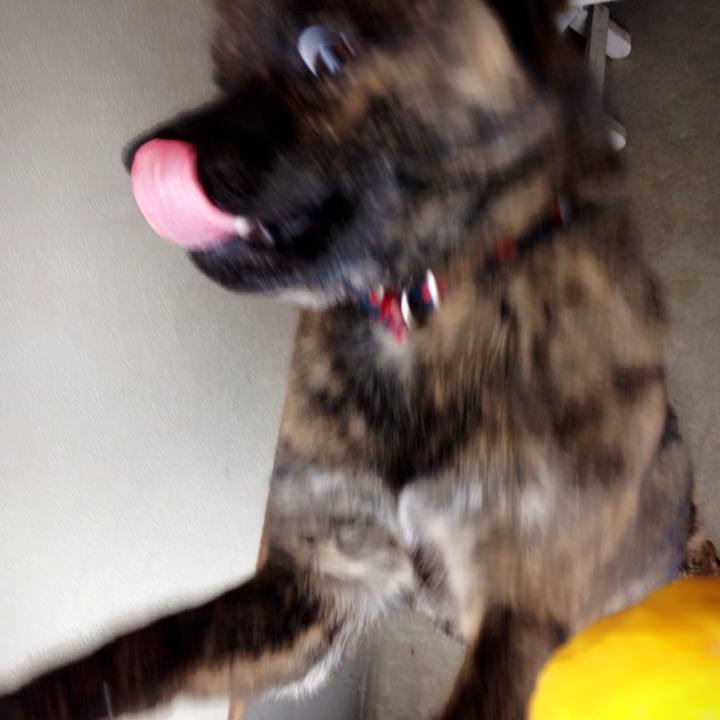 C591e865 5da9 4ece acc8 07ce5725f7c5