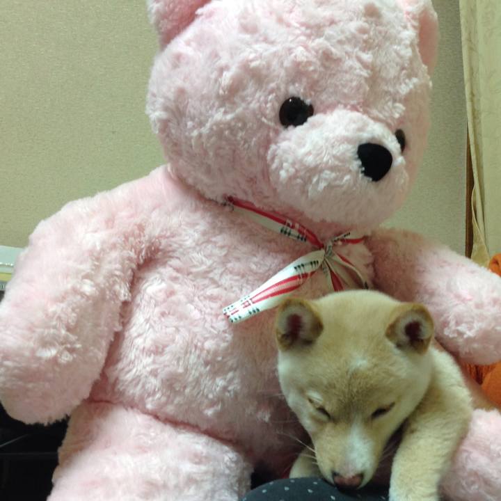 C591e8c7 5689 4360 810c faeee873f469