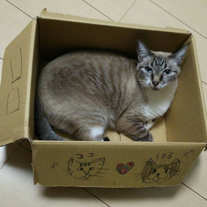 C5922c3c 707e 4ef2 977c d204dec05454