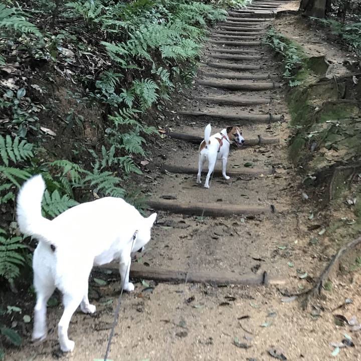 C592494d 635d 4333 acd3 815a5614dd08