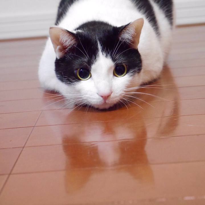 C5929057 8a23 47fb b440 489b83e59160