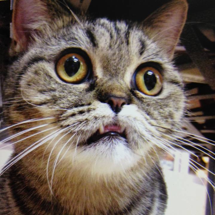 C592f66b c9c2 4bd3 a89c 1e1a57be748d