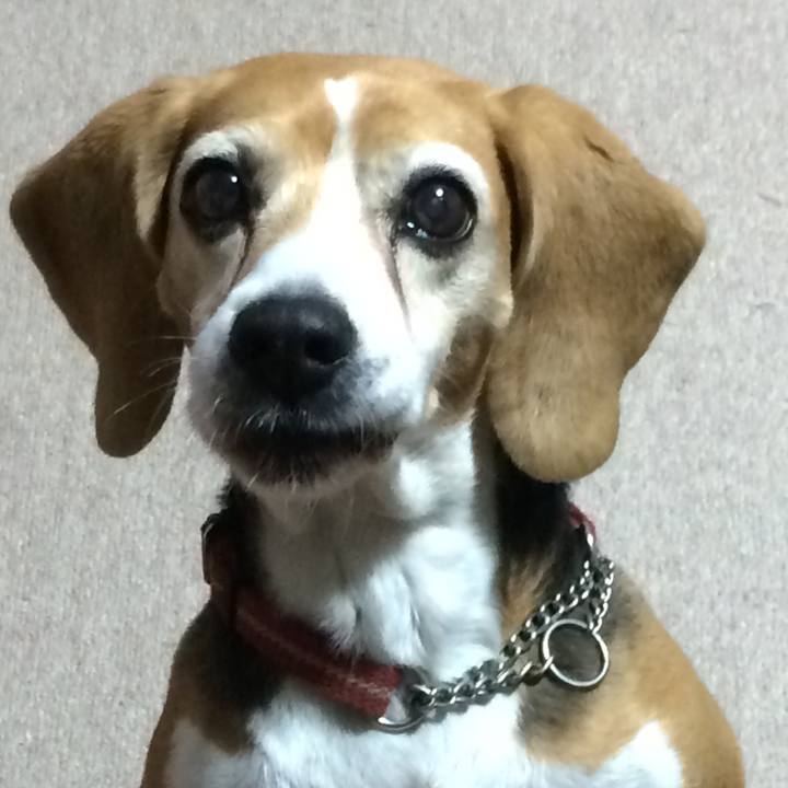 C5951884 2e29 43dc 96b4 8520c7f89f74