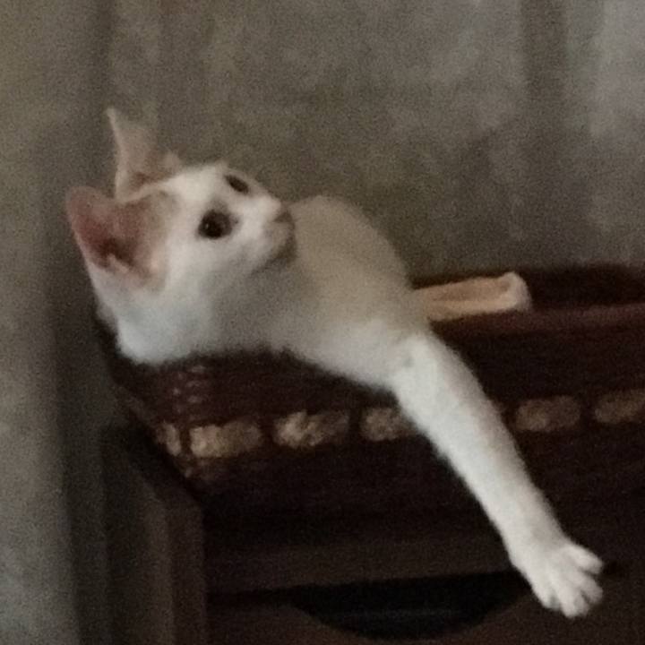 C5952fa5 33e1 4193 9da5 acc6caf84d71