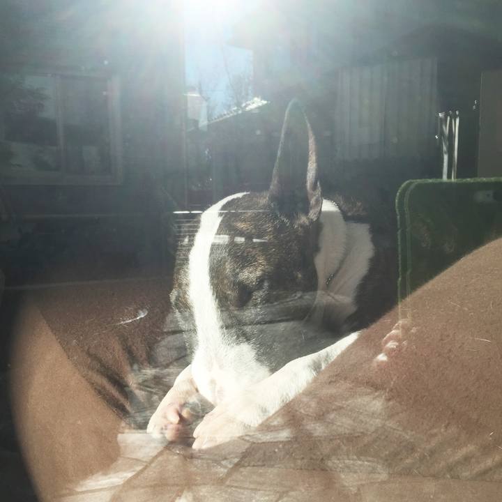 C59574dc 73ca 4f5e 8b14 8d3120c0dedc