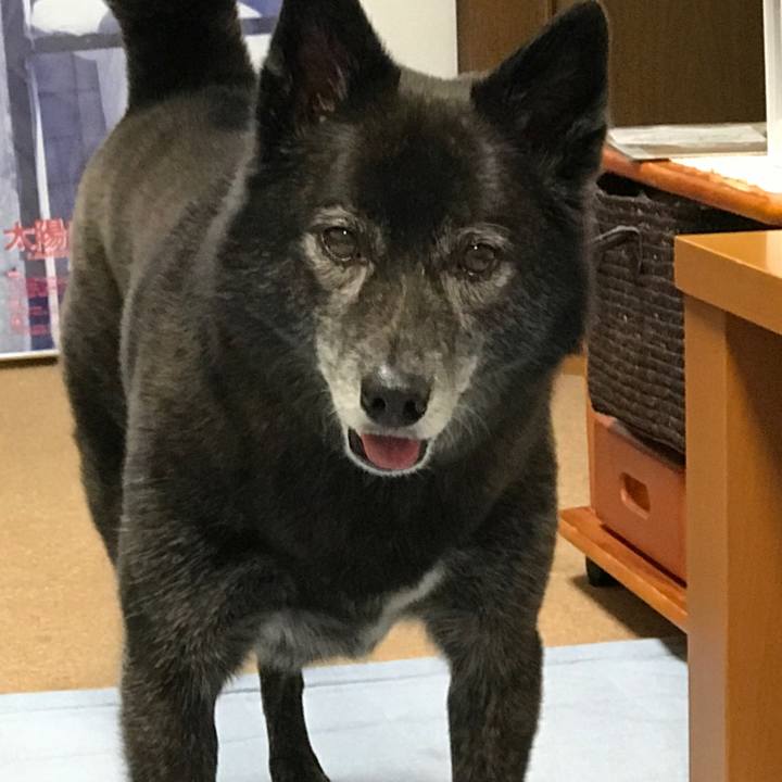 C595cac7 170b 4657 926e f7441554a877