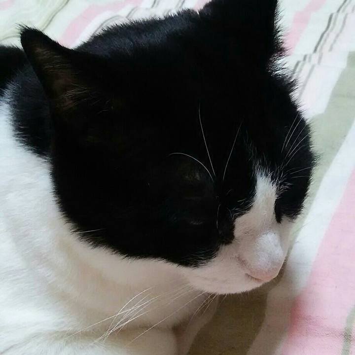 C595ef33 b2f5 4400 868b 5ed5d6b53054