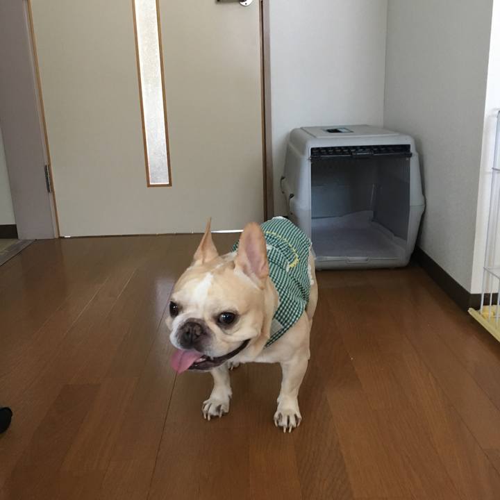 C5960dca ca25 4fc0 aafb be3352e7f7bd