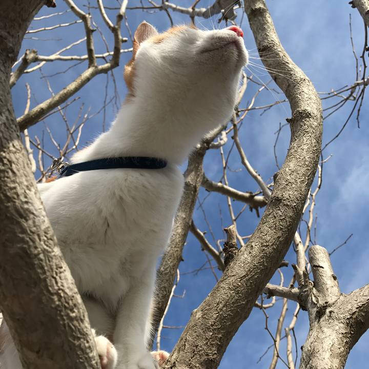 C5961a15 6114 47b2 aa65 045bbdeafb3d