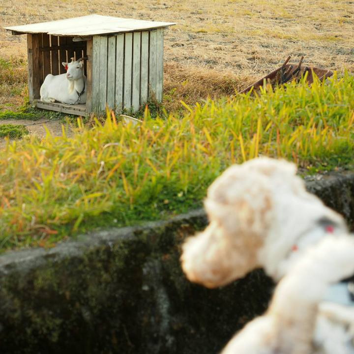 C5964669 f94c 4baf ba46 4d28b3b5d6b6