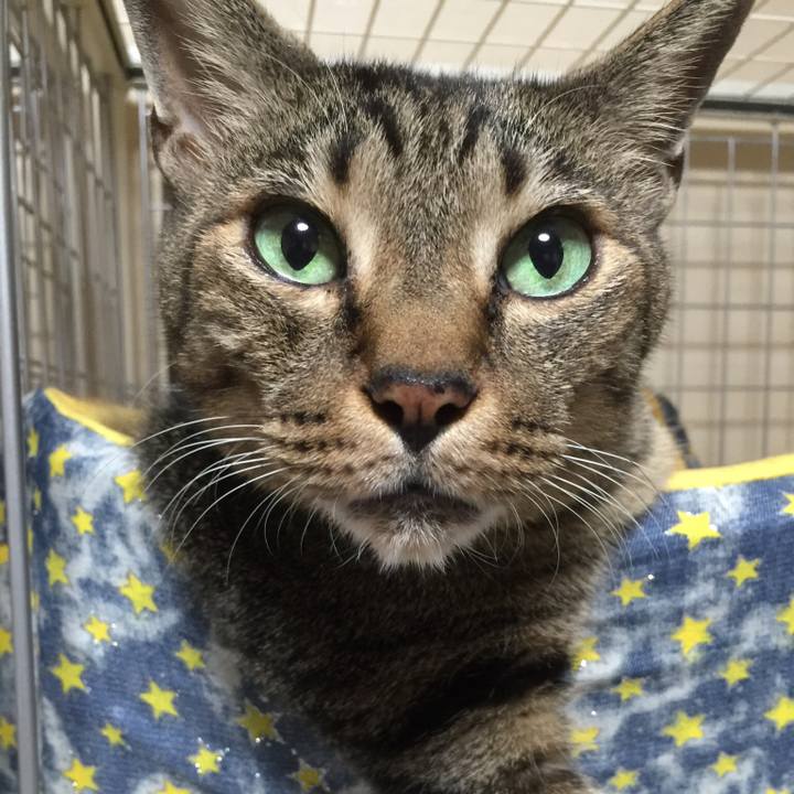 C596ce7b 457f 4ec9 bde3 faaa3a66544f