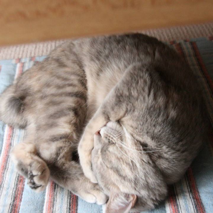 C597517c e39a 4e78 a487 f69331729940