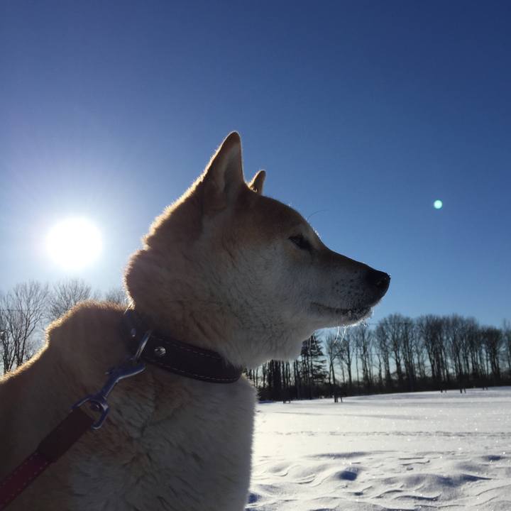 C597f123 e544 49b0 9216 54e10827147c