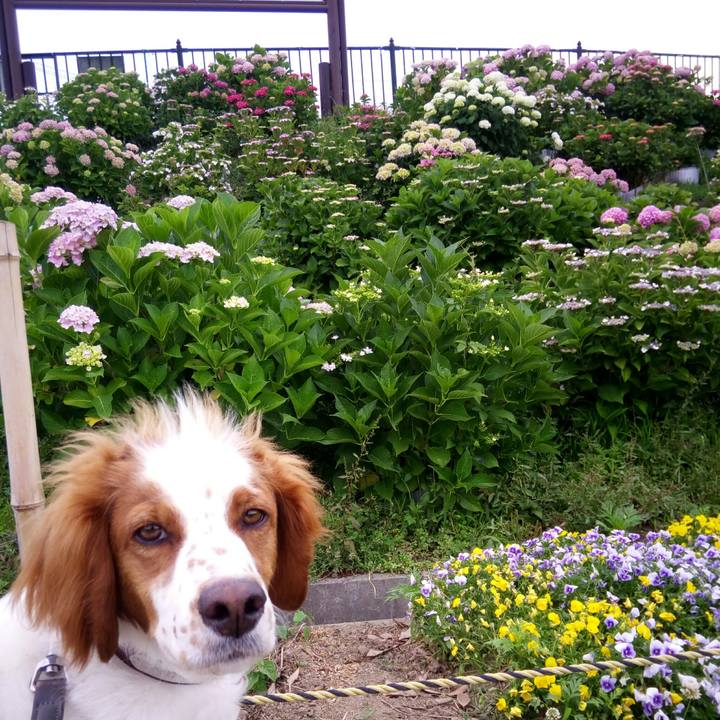 C598004f 4d5c 4ee4 b587 74fbbf5de1ce