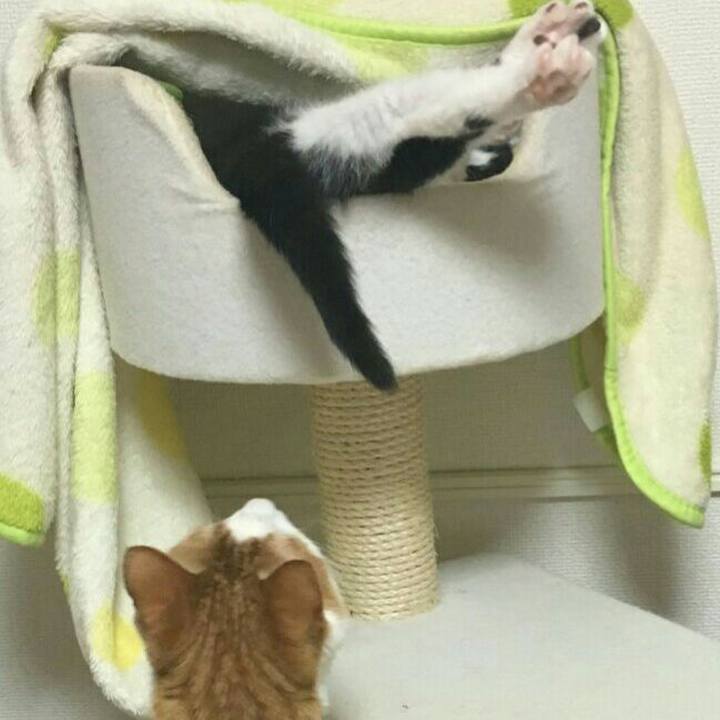 C598228b 7d72 4dcc a258 d215886f0cdf