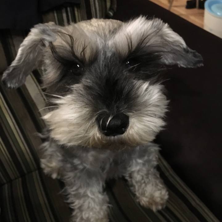 C598afc3 d2c9 44fa 8399 6249fdc4beef