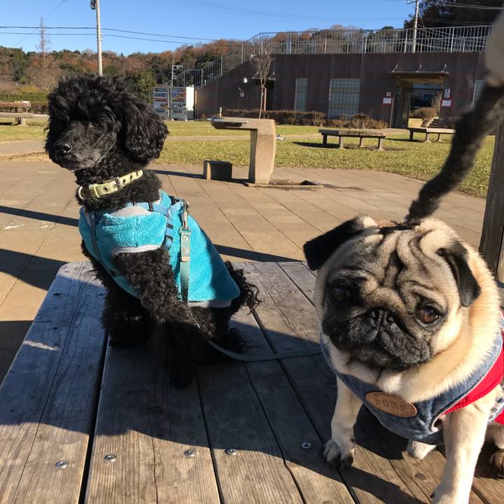 C598d7d6 1702 4ad2 a3c9 2ac05e467d23