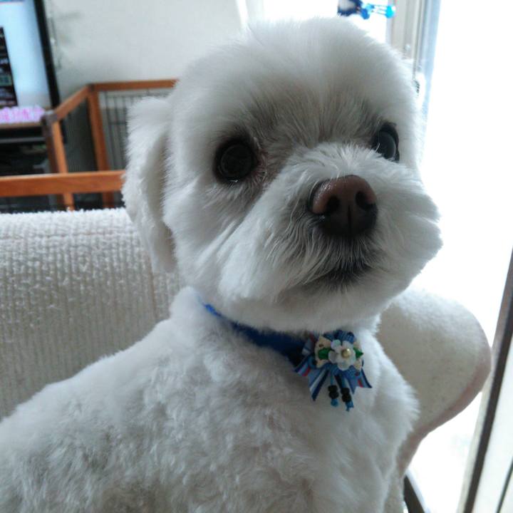 C59905e5 7778 4a39 ae8d 45d20754b4db