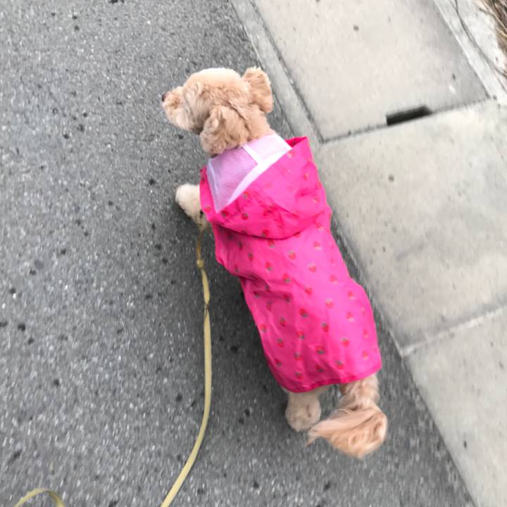 C5993754 87f1 4b3d ba5b 9fe9e5ca661e