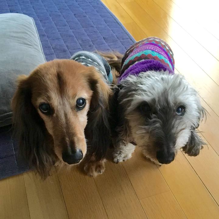 C599b1a5 b155 422a b7ae 714aee3e6e1f