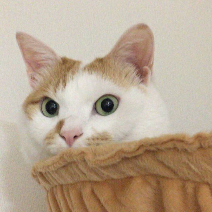 C59a33ab e96f 4f13 9e3f 70c2d5d18473