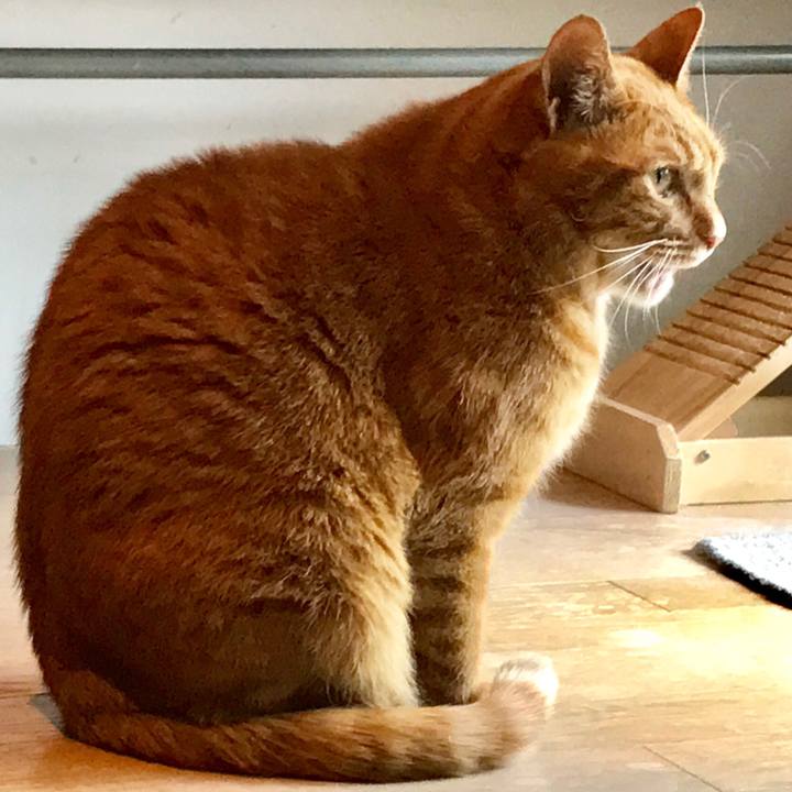 C59a56a0 4a03 407c 845a c3bbe723386f