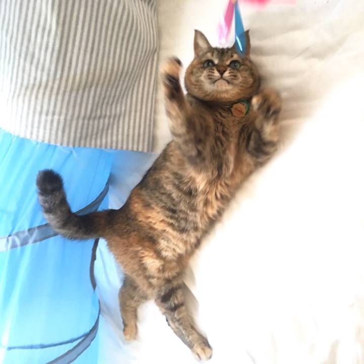 C59a8e8b e4e6 4309 97d0 ad06a1bfdc0f