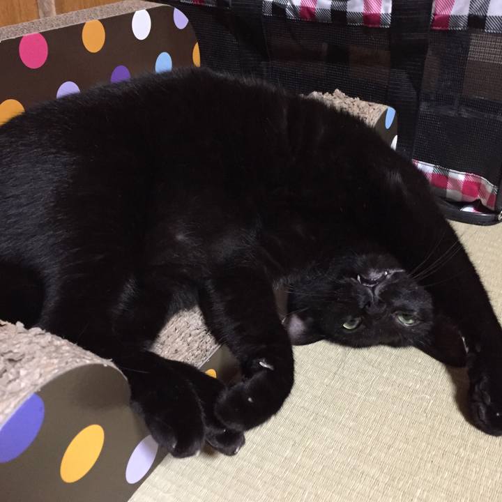 C59acbfb e150 407a 9a34 17b02e6821e6