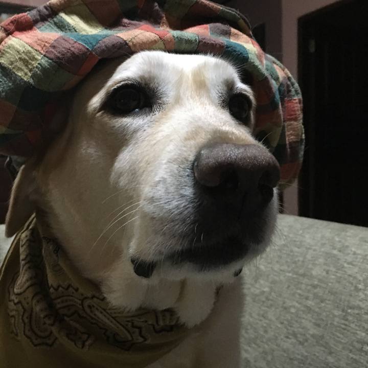 C59afc65 4c6c 4234 8d13 767956cc48dd