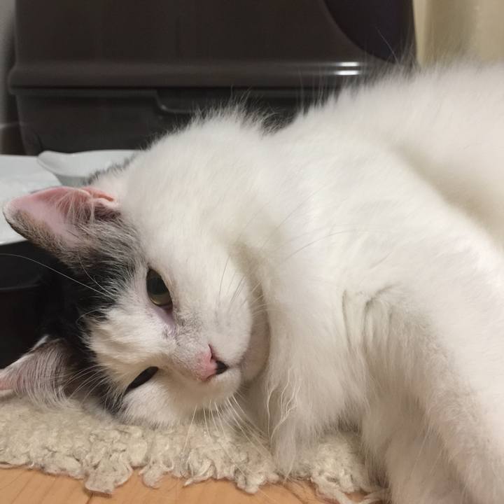 C59b2de5 b3e8 43ec be8e d4484d8b0ffa