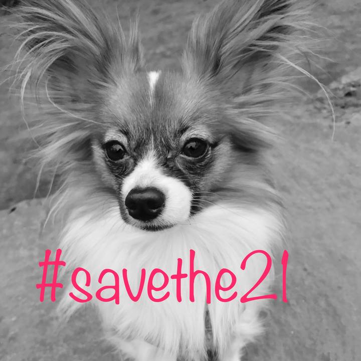 C59b9636 a50e 4d46 a17d e4797a076362