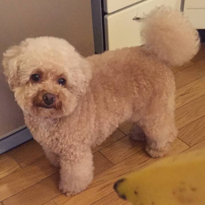 C59ba69d f4b1 427a 8883 0b636feda9c6