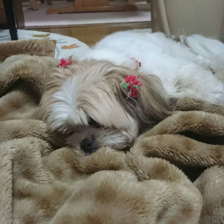 C59bb1e5 b046 46cd b575 73c155b3db29